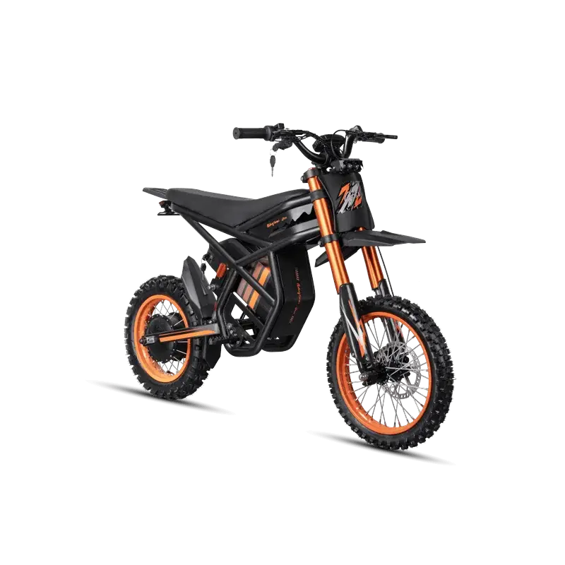 GT54 elektrinis motociklas 1000W - Vaizdas 6