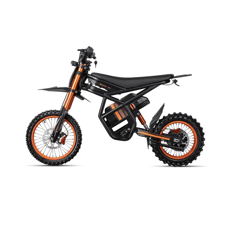 GT54 elektrinis motociklas 1000W - Vaizdas 2