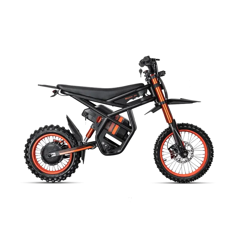 GT54 elektrinis motociklas 1000W - Vaizdas 7